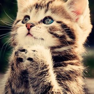 Meet your Posher, Rashanae